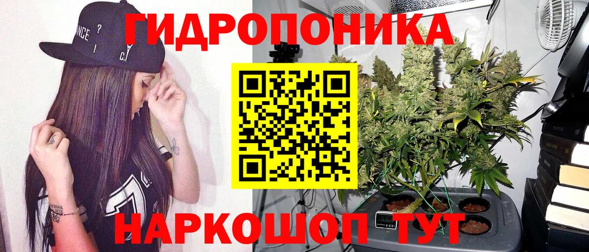 Конопля сатива  Вход с VPN  Бошки марихуана OG Kush  Каннабис сатива  Конопля план  Волжск 